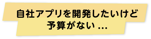 自社アプリを開発したいけど予算がない...